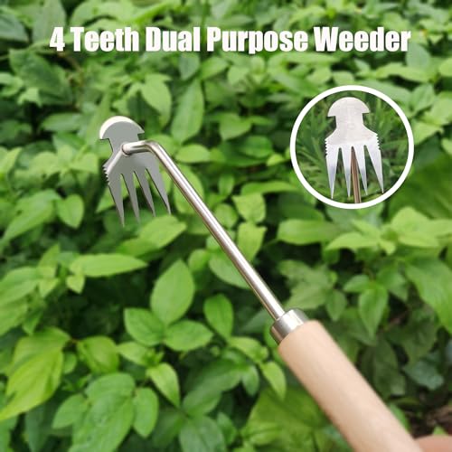 Stainless Steel 4-Tined Hand Weeder Tool, Multifunctional Wood Handle (12 inch)