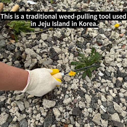 Korean Weed Puller Tool for Garden Maintenance