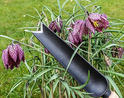 Tierra Garden DeWit Snake Tongue Trowel, Roots and Planting Tool
